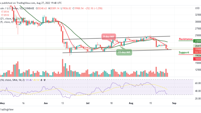 BTC Slumps Below $20,000; TAMA Pushes Up