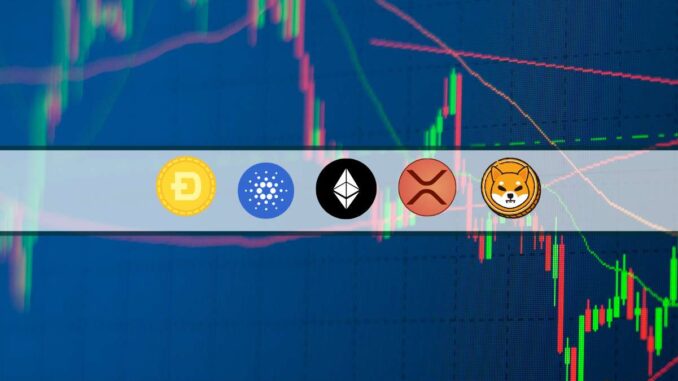 ETH, XRP, ADA, DOGE, and SHIB