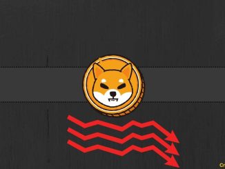 Almost 90% of Shiba Inu (SHIB) Holders Currently Underwater, But There's More