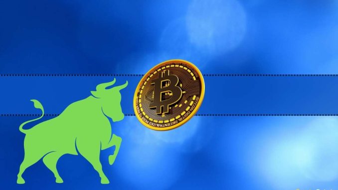 This Bitcoin Metric Plummets to a 5-Year Low But Is It Bullish?