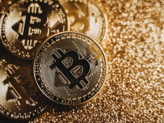 Why Investors Are Starting to Buy Bitcoin Over Bonds: $2 Trillion Allianz Economist