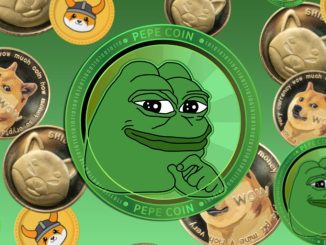 This Week in Coins: Bitcoin Rally Lends Meme Coins a Helping Hand