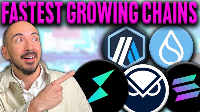 Top 5 Fastest Growing Crypto Ecosystems! (2024 Biggest Movers?)