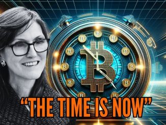 Bitcoin ETF Update! (Massive Crypto Gold Rush)