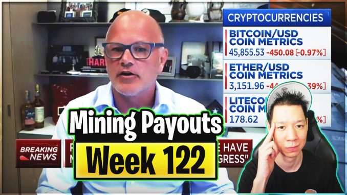 Weekly Mining Payouts 8/15/21 | Week 122