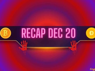 Bitcoin (BTC) Price Collapse, Meme Coin Bloodbath, and More: Bits Recap Dec 20