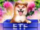 NYSE Arca proposes rule change to list Bitwise Dogecoin ETF