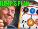 URGENT: Which Altcoins Will Benefit Most from Trump's Crypto Playbook)