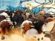 Bitcoin price hit a new all-time high and data shows BTC bulls aren’t done yet