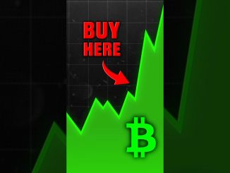 How To Catch A Crypto Bull Run 📈